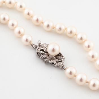 A cultured pearl necklace.