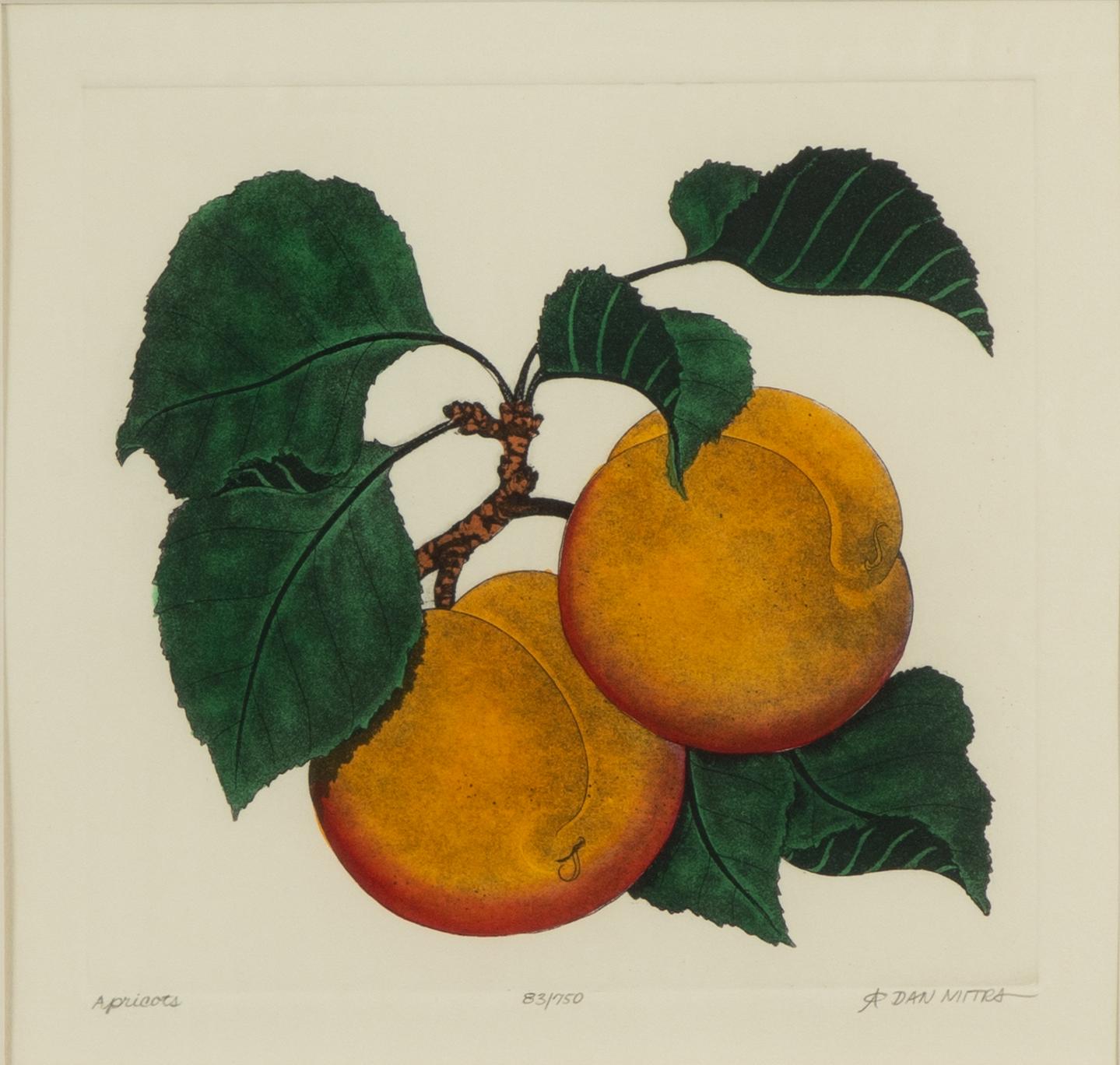 Dan Mitra, a suite of six etchings, framed together.