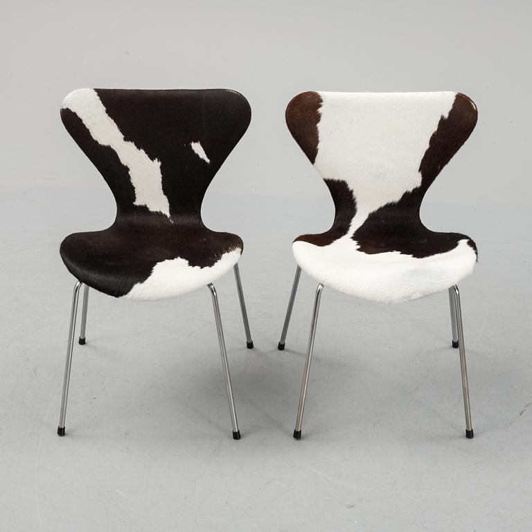 Arne Jacobsen, a set of six 'Serie 7' chairs for Fritz Hansen, Denmark, second half of the 20th Century.