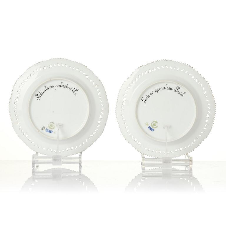 A set of 12 Royal Copenhagen 'Flora Danica' lunch plates, Denmark, 1889-1922.