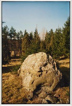 Ann Böttcher, "Gran Framför Sten, Gran Bakom Sten", 2002-2006.