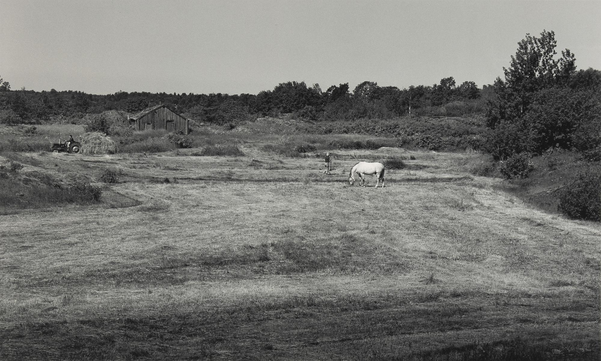 Pentti Sammallahti, "Benö, 1976".