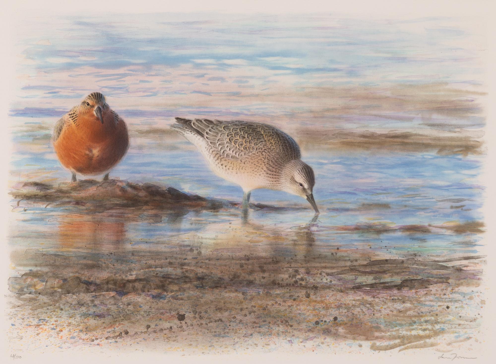 Lars Jonsson, Calidris.