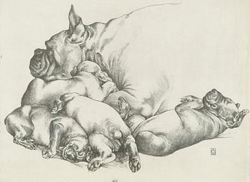 Henno Arrak, "Pesakond" (Litter).
