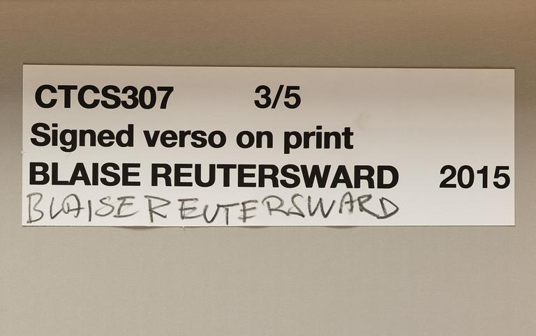 Blaise Reutersward, "CTCS307", 2015.