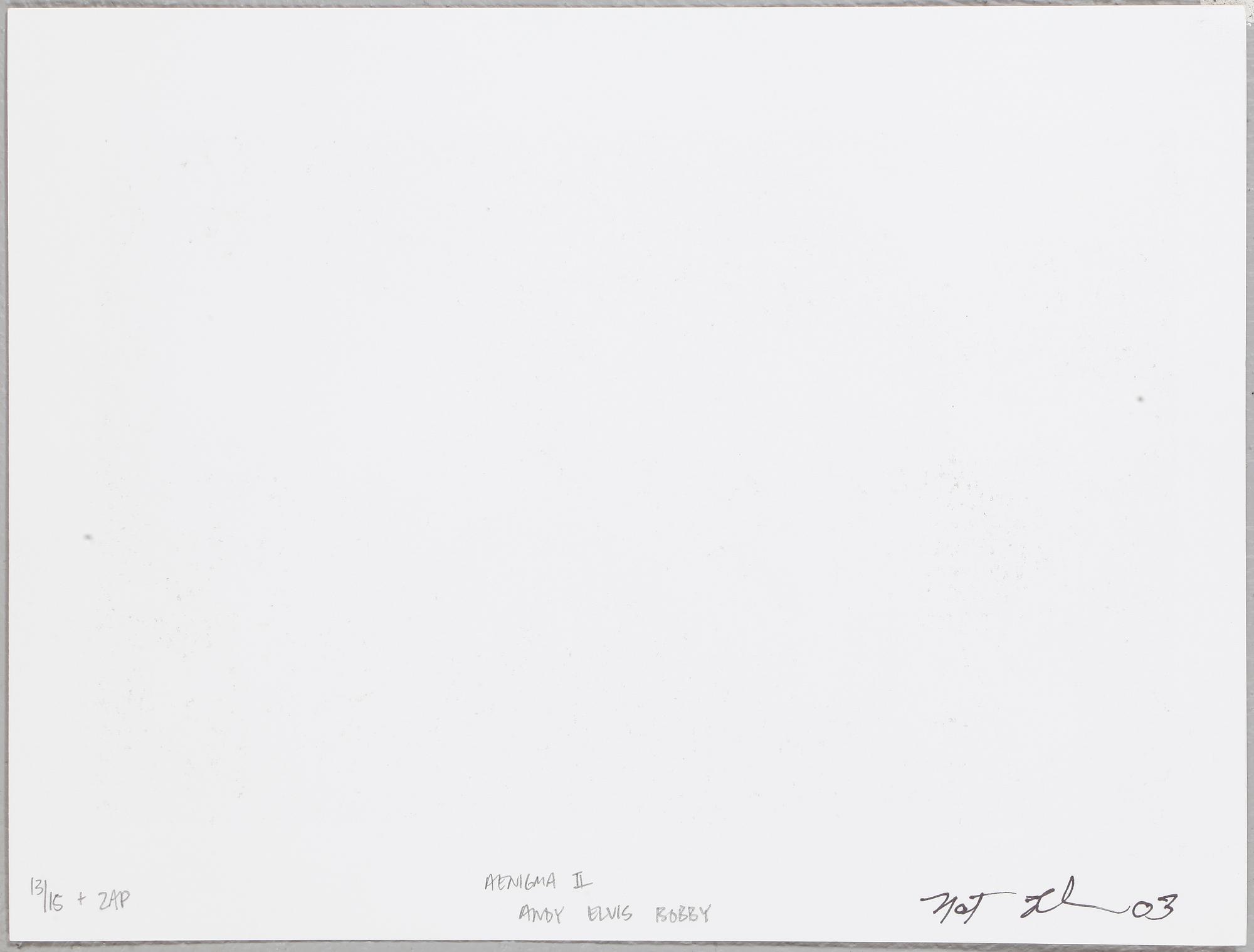 NAT FINKELSTEIN, Digital print (5 st), sign och dat och numr 13/15 a tergo.
