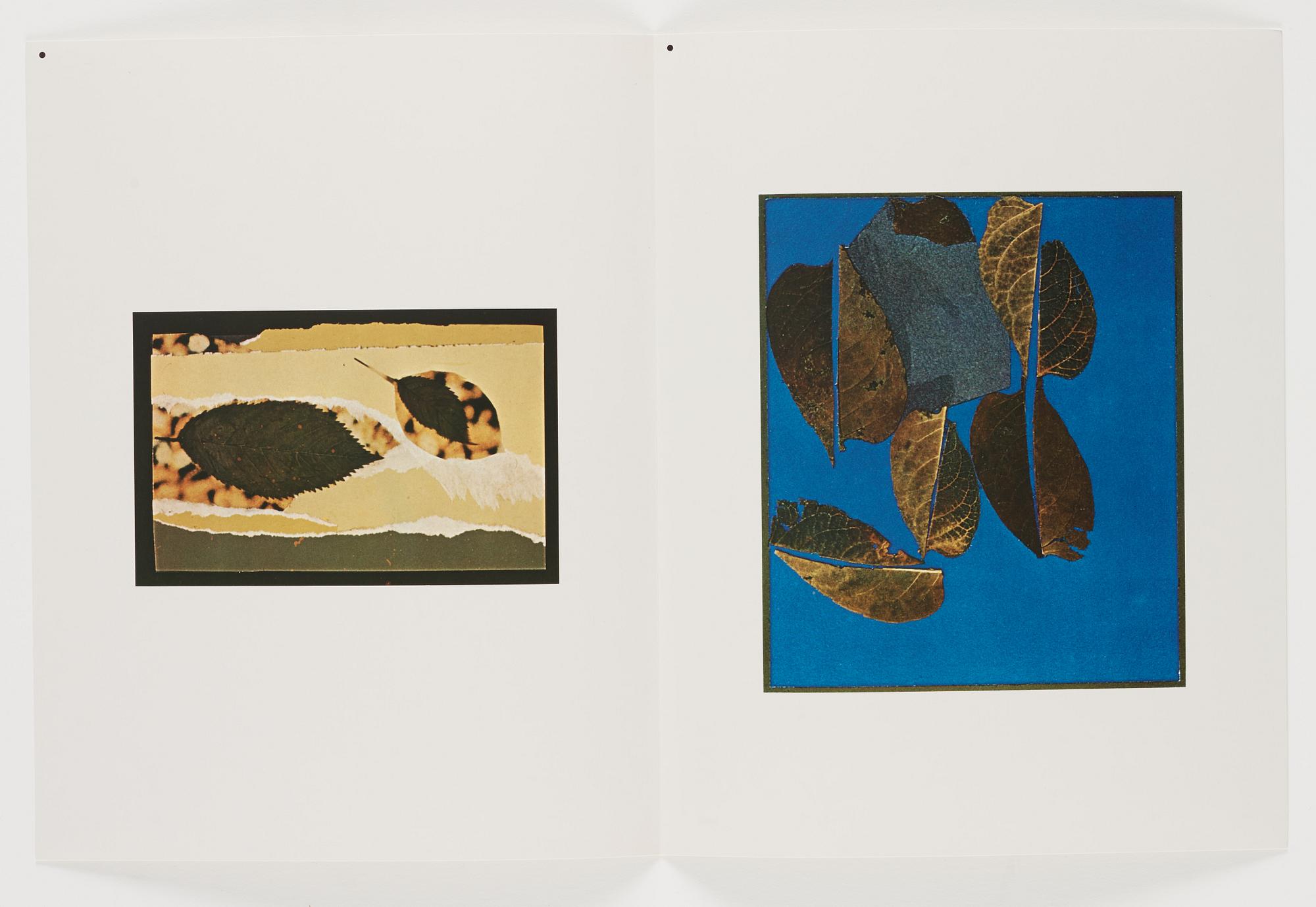 Josef Albers, "Interaction of color".