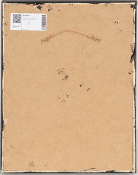 Marika Lang, mixed media on print.