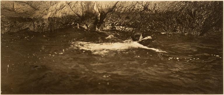 HENRY B. GOODWIN, 2 photo gravures with motif from the Stockholm archipelago.