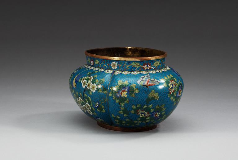 JARDINIERE, cloisonné. Qing dynastin, 1800-tal.