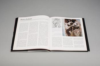 BOK, "Arbeten 1985-1987", Peter Dahl.