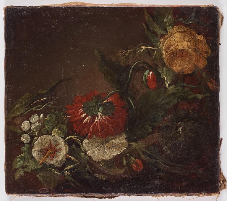 Jan Philips van Thielen, Hans krets, Stilleben med blommor och larv.