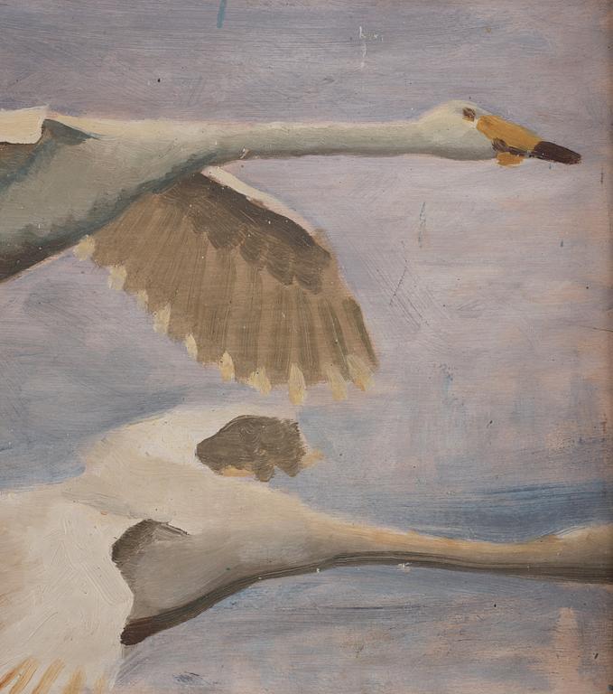 Bruno Liljefors, Flying Swan.