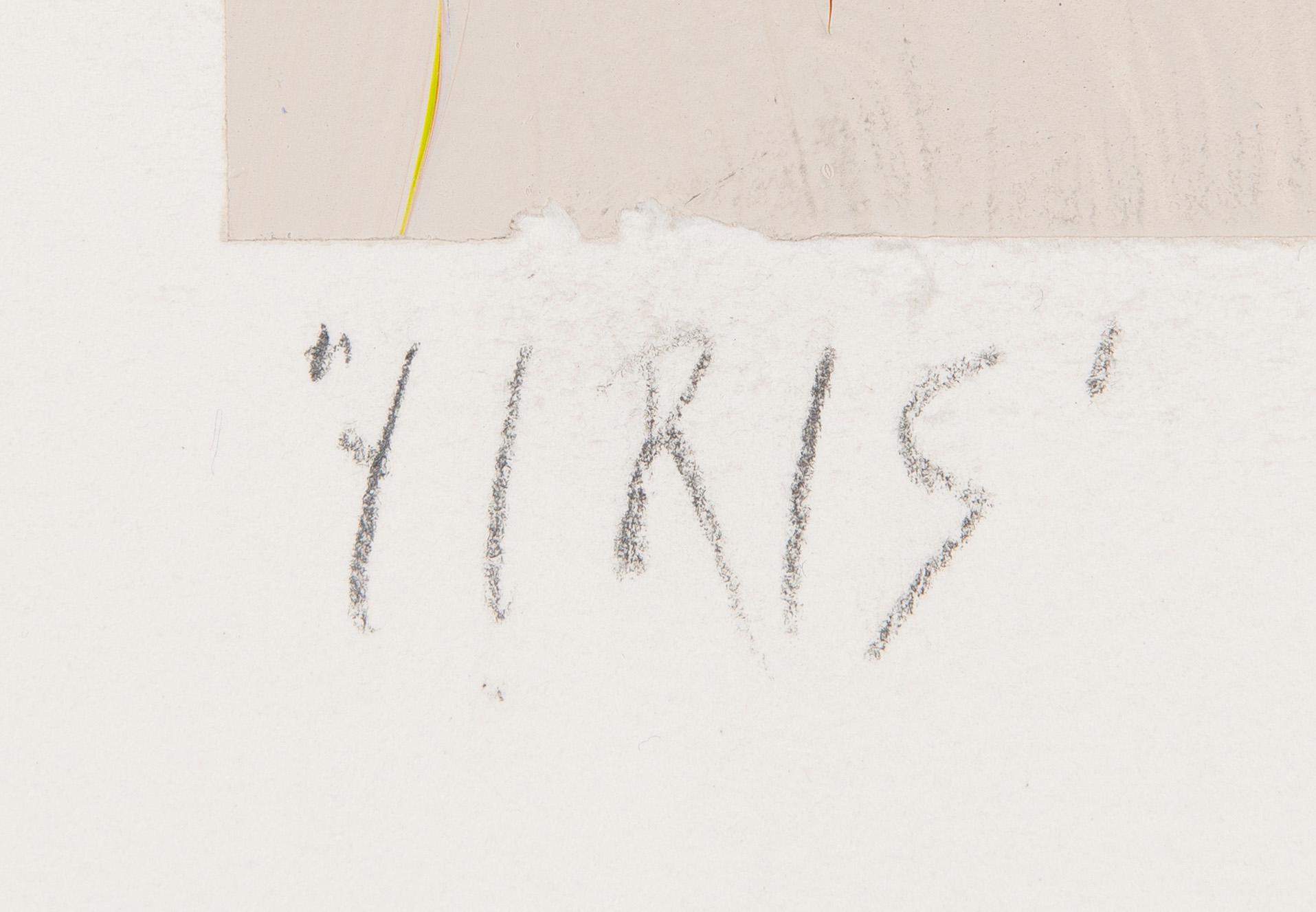 Tapani Mikkonen, "Iiris".