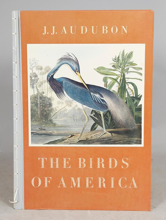 BOK, "The birds of America", av John James Audubon.