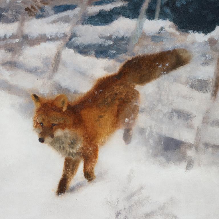 Bruno Liljefors, Fox in winter landscape.