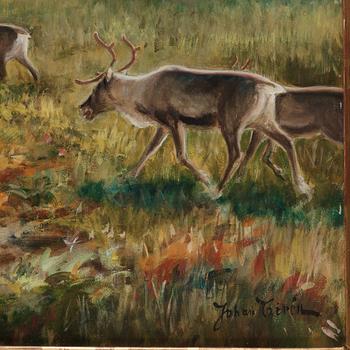Johan Tirén, Reindeer in the early spring.