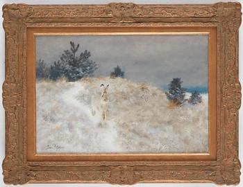 Bruno Liljefors, Winter landscape with hare.
