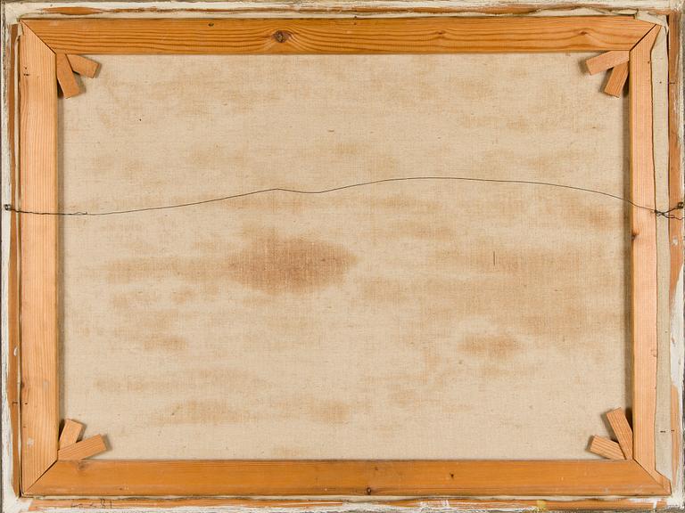 Mikko Laasio, Tunturimaisema.