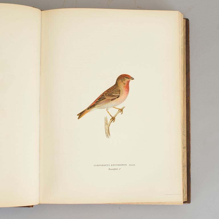 M.W OCH F. VON WRIGHT, 3 vol, Svenska fåglar efter naturen och på sten ritade, text av E. Lönnberg, Stockholm 1927-29.