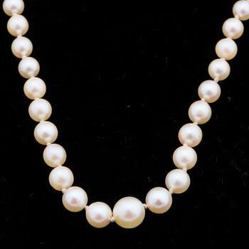 Collier with cultured akoya pearls, silver clasp.