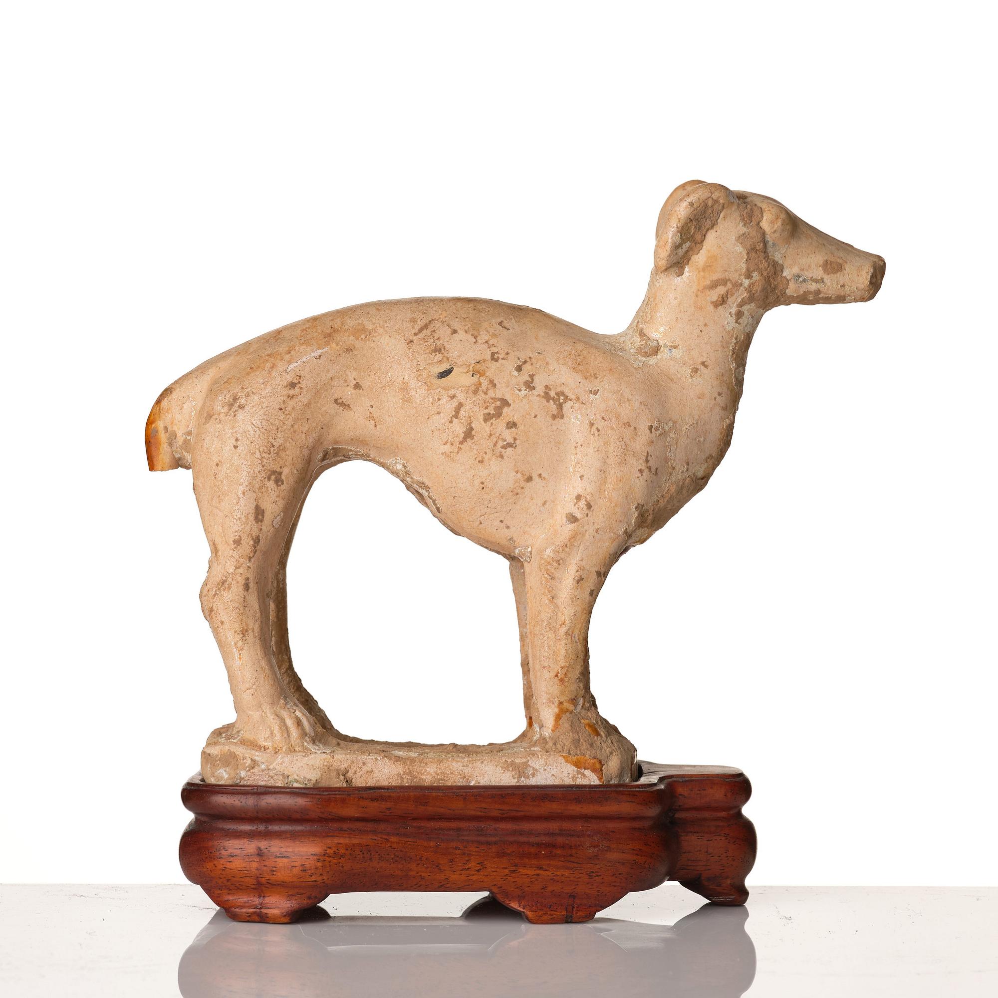 A pottery figure of a dog, Tang dynasty (618-907).