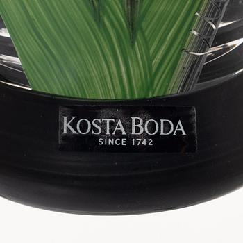 Ulrica Hydman-Vallien, matservis, 42 delar, glas, modell "Tulipa", Kosta Boda.