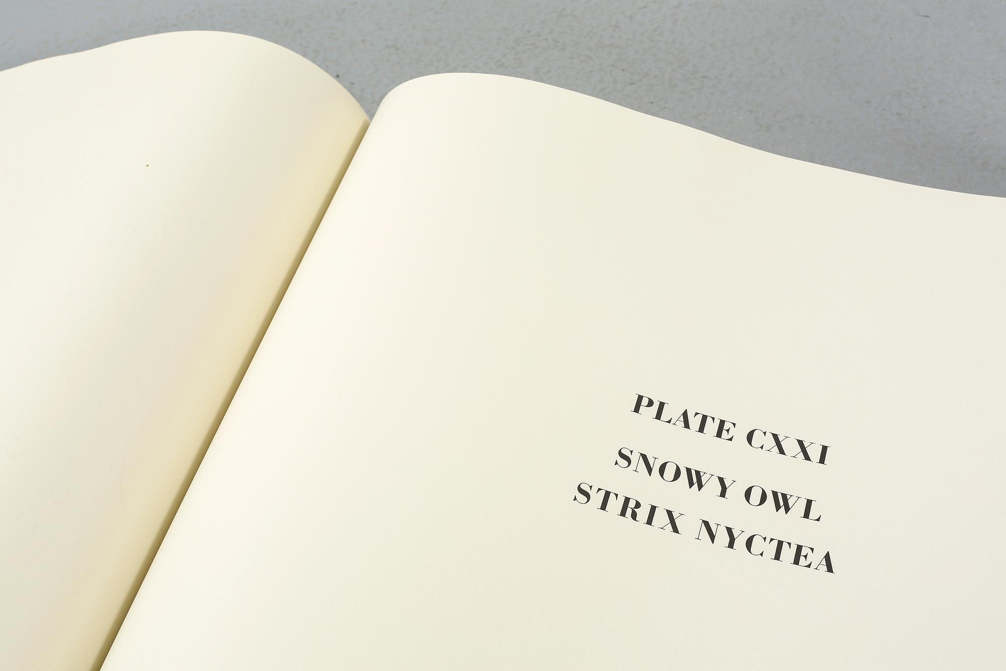 BOK, "The Birds of America", volym I, John James Audubon, numrerad 456/500, 1973.