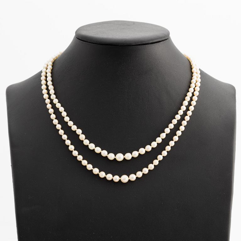 Pearl necklace, double-stranded with a silver clasp.