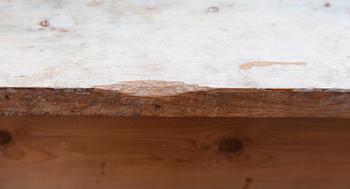 SKÄNK, 1800-talets mitt.