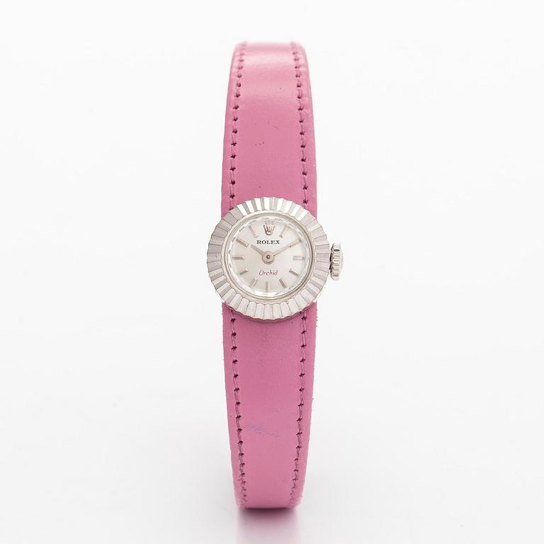 Rolex, Orchid, Chameleon, wristwatch, 16 mm.