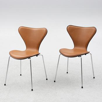 Arne Jacobsen, stolar 6 st "Sjuan" för Fritz Hansen, Danmark, 2020.