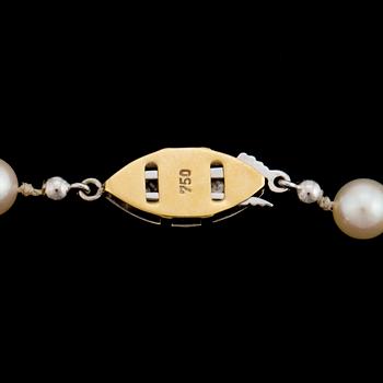 A necklace of cultured pearls with an 18K gold clasp.