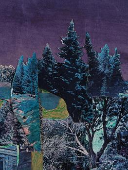 Dick Bengtsson, Lila natt.