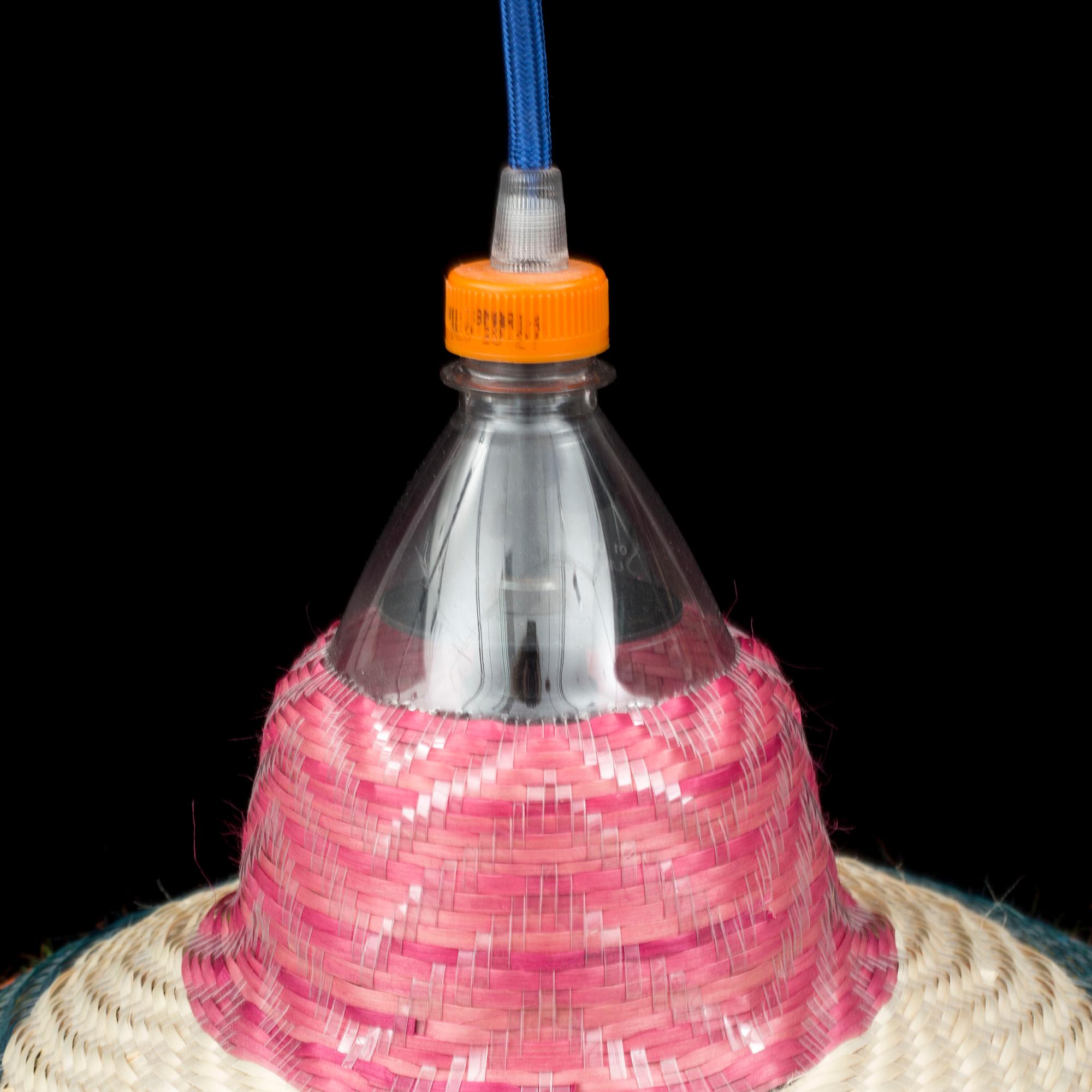 TAKLMPOR, sex stycken, "Petlamps", Colombia, 2012.