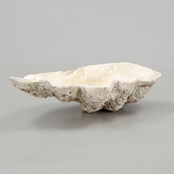 MUSSLA, fossil.