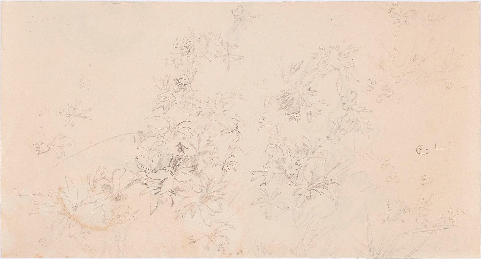 CARL LARSSON, skisser, 4 st, monogramsign.