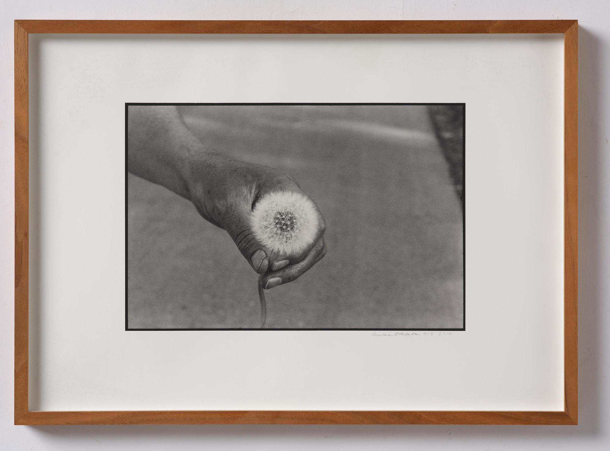 Cecilia Edefalk, "Dandelion", 2014.