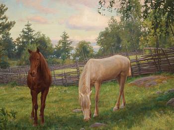 Johan Krouthén, Horses.