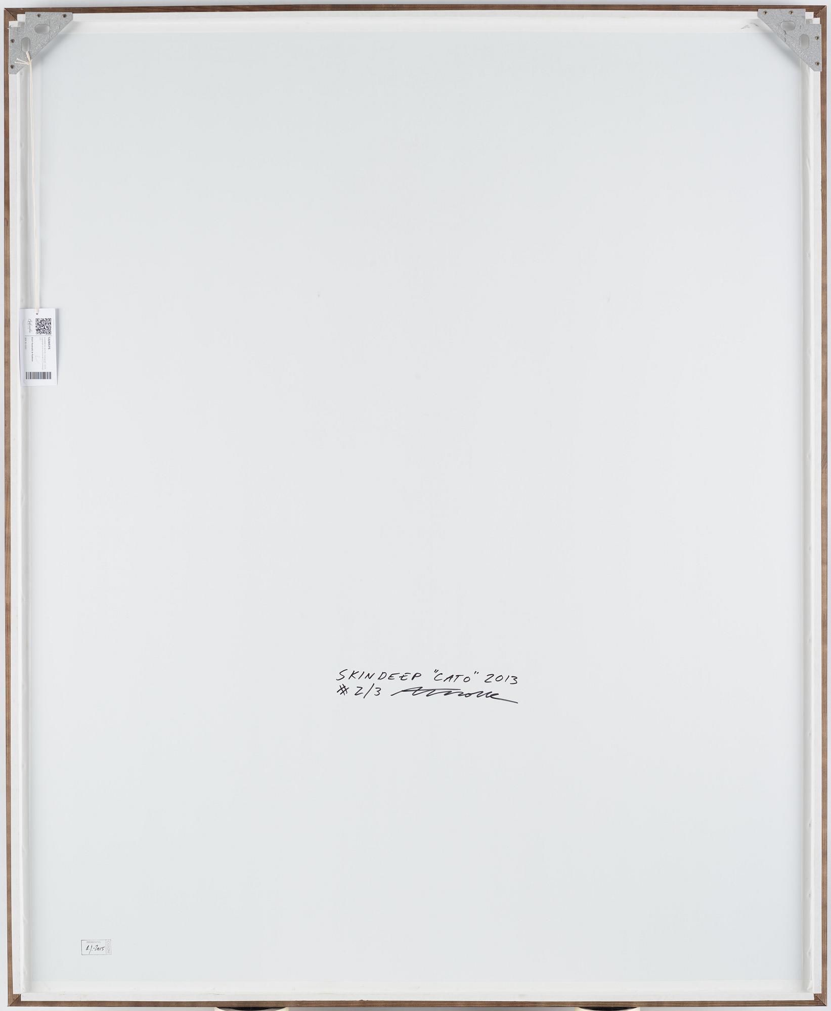 Andreas Kock, "Skindeep, Cato", 2013.