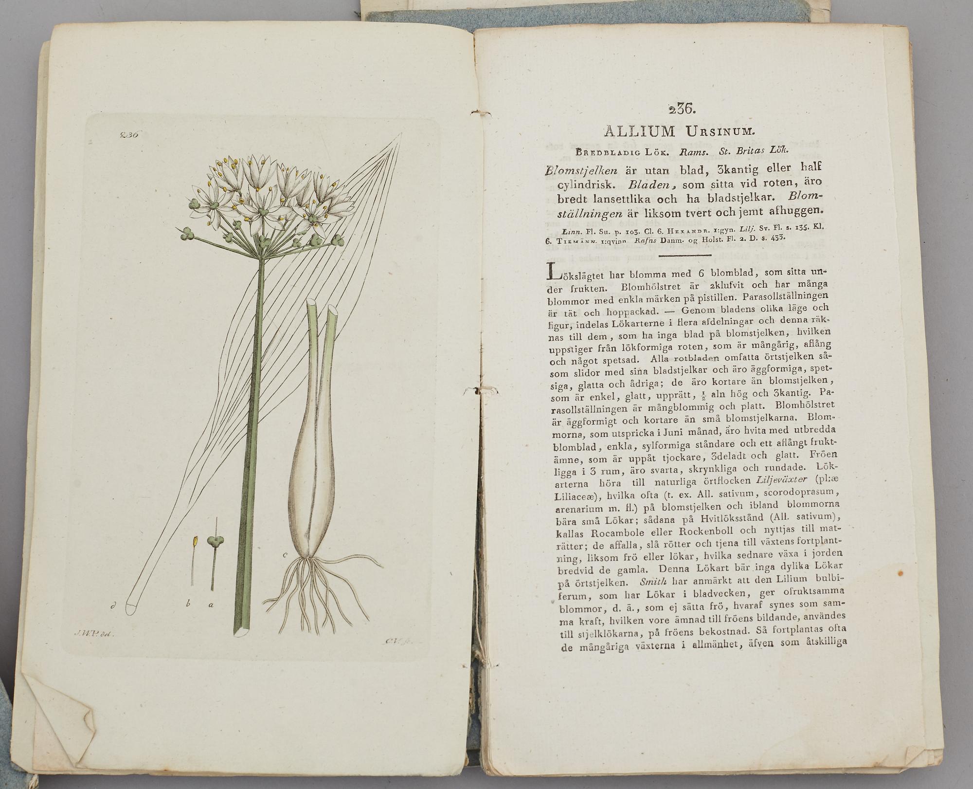 JOHAN WILHELM PALMSTRUCH, "Svensk Botanik, vol I-V. 1803-1805.