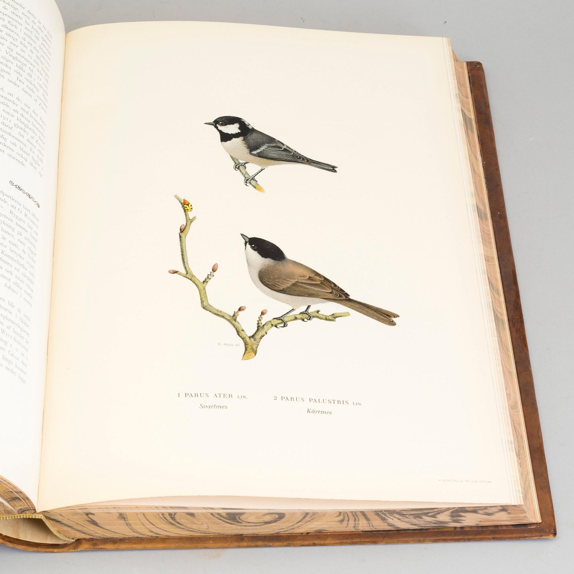 Three volumes, Swedish Birds, by M.W and F von Wright, 1927 and 1929.