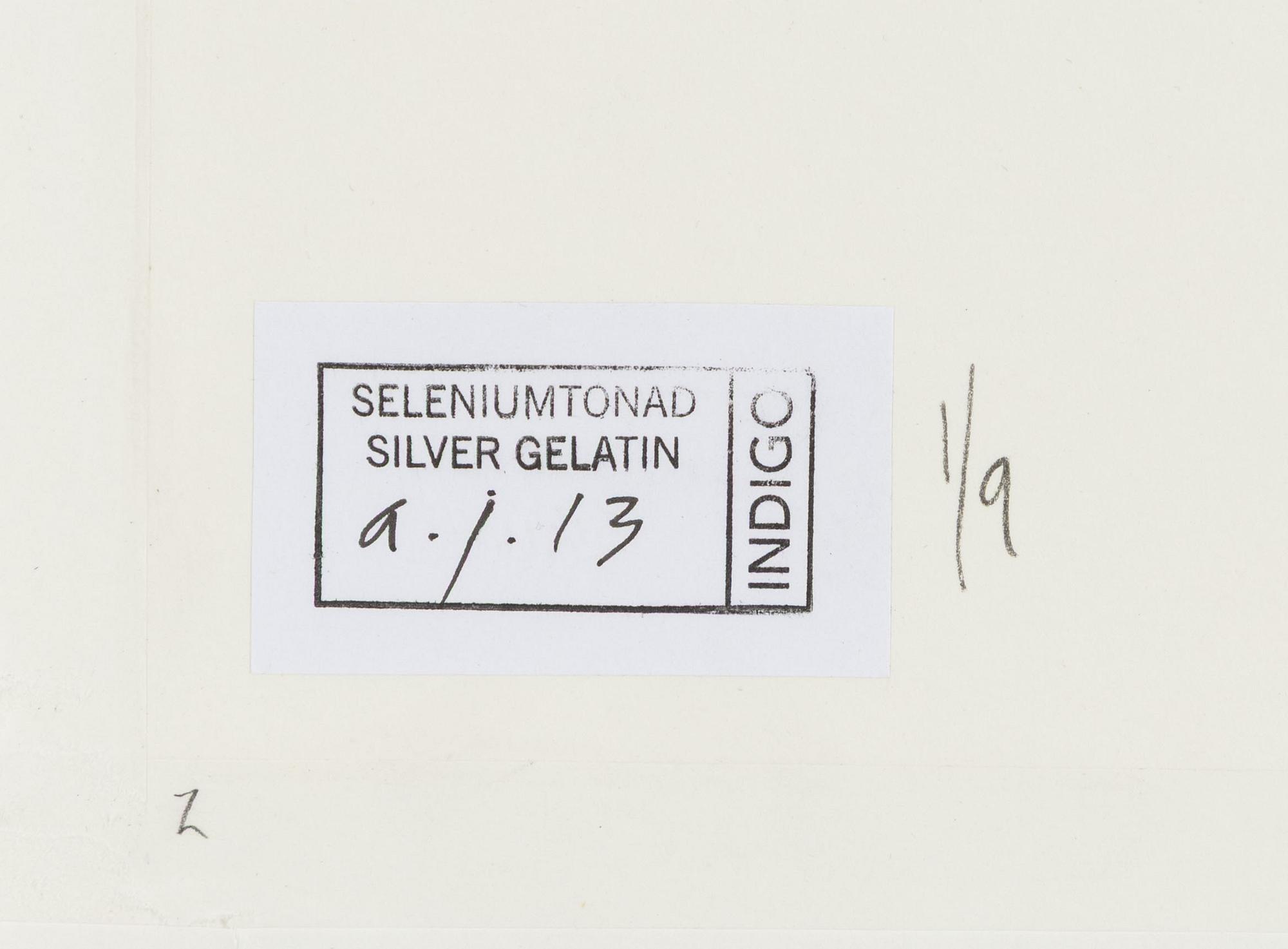 Lennart Nilsson,  "Isbjörnsjakt vid Hvitøya (Vitön), Svalbard, Norge 1947".