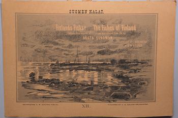 GÖSTA SUNDMAN, Suomen kalat, Finlands fiskar, The Fishes of Finland, julkaisija G. W. Edlund, Helsinki 1883-1893.