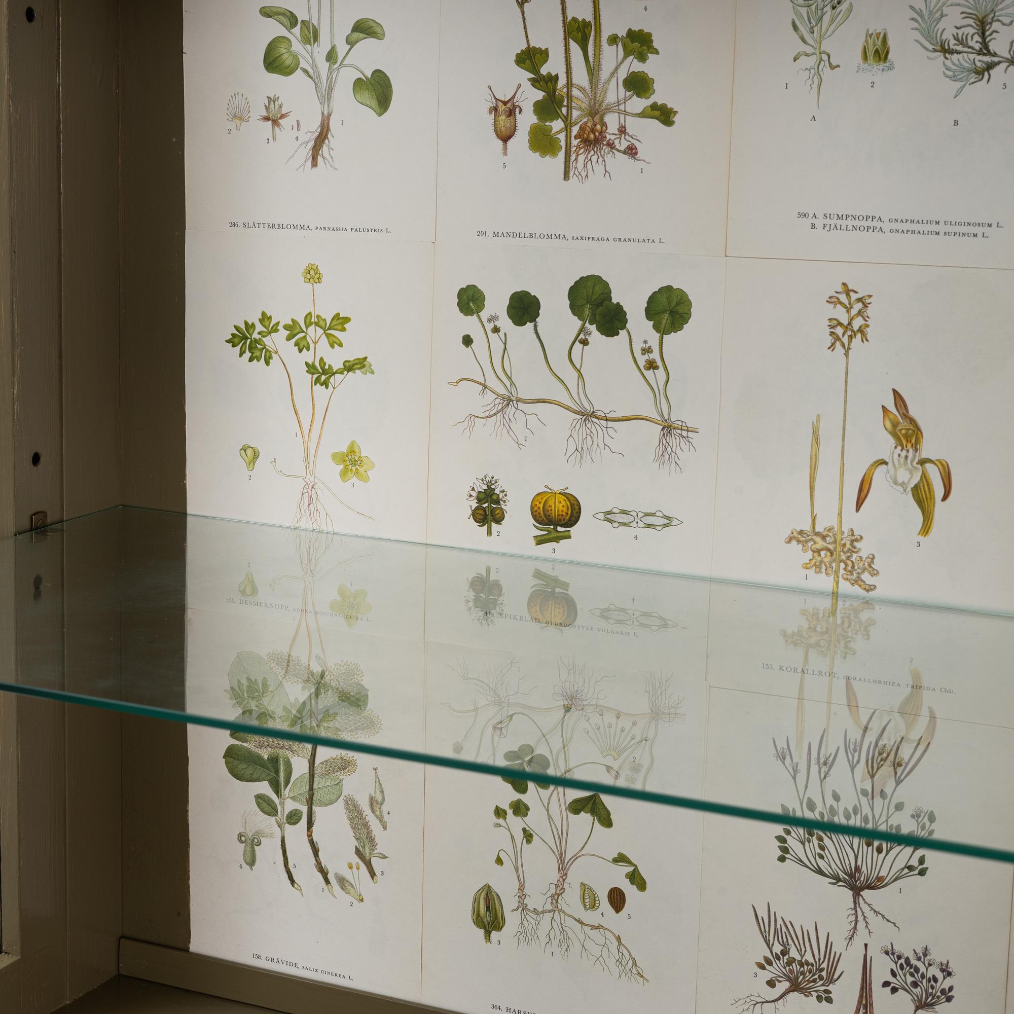 Vitrinskåp, 1900-talets mitt.