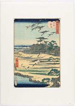 Ando Utagawa Hiroshige, träsnitt, 'Descending Geese at Shirahige'.