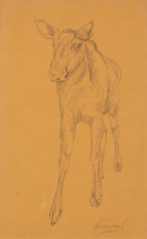 Arvid Knöppel, pencil drawing, signed.