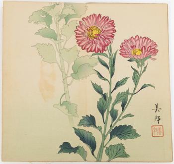 Bihō Takahashi (aktive around 1890-1930), album with 12 woodblock prints, publisher Heikichi Matsuki.