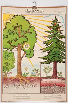 SKOLPLANSCHER, 4 st, 1900-tal.