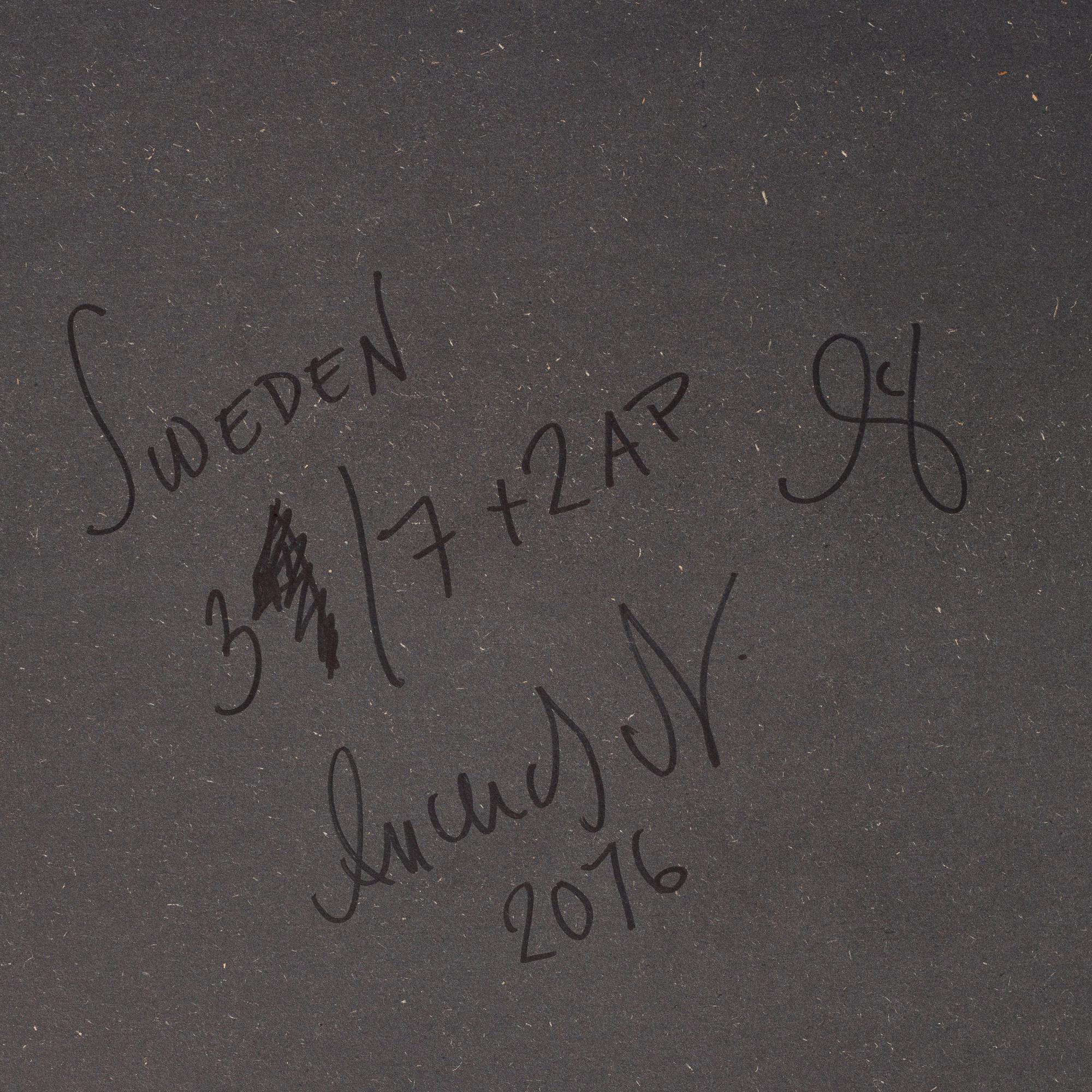 Andreas Ackerup, "Sweden", 2016.